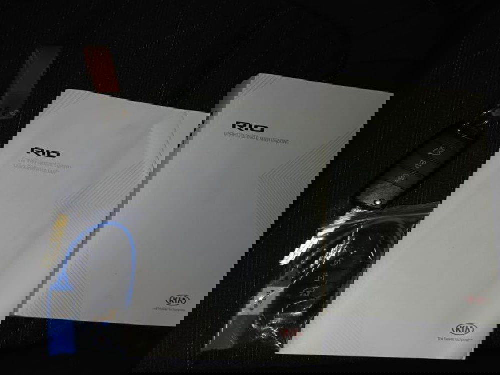 Kia Rio usata a Genova (19)