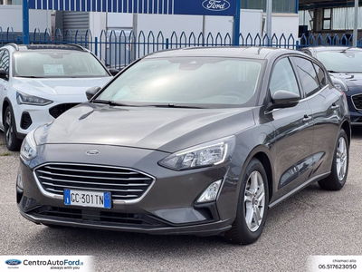 Ford Focus 1.5 EcoBlue 120 CV automatico 5p. Business Co-Pilot del 2020 usata a Albano Laziale