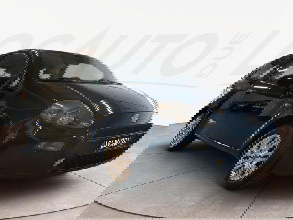 Fiat Punto usata a Torino (2)