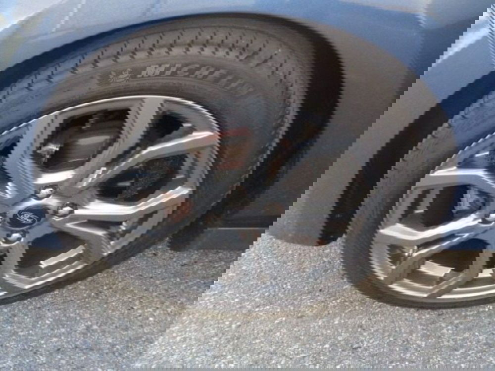 Ford Fiesta usata a Cuneo (15)