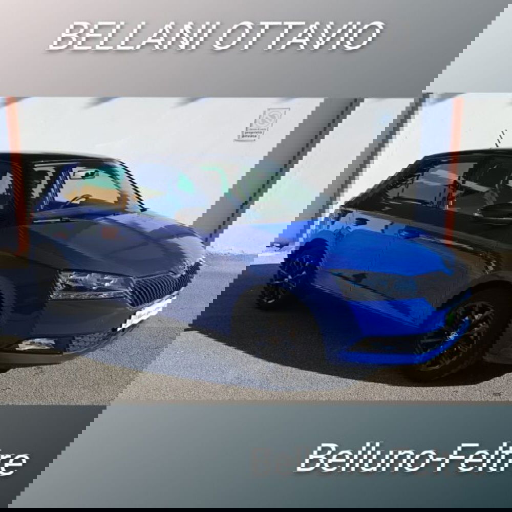 Skoda Fabia usata a Belluno