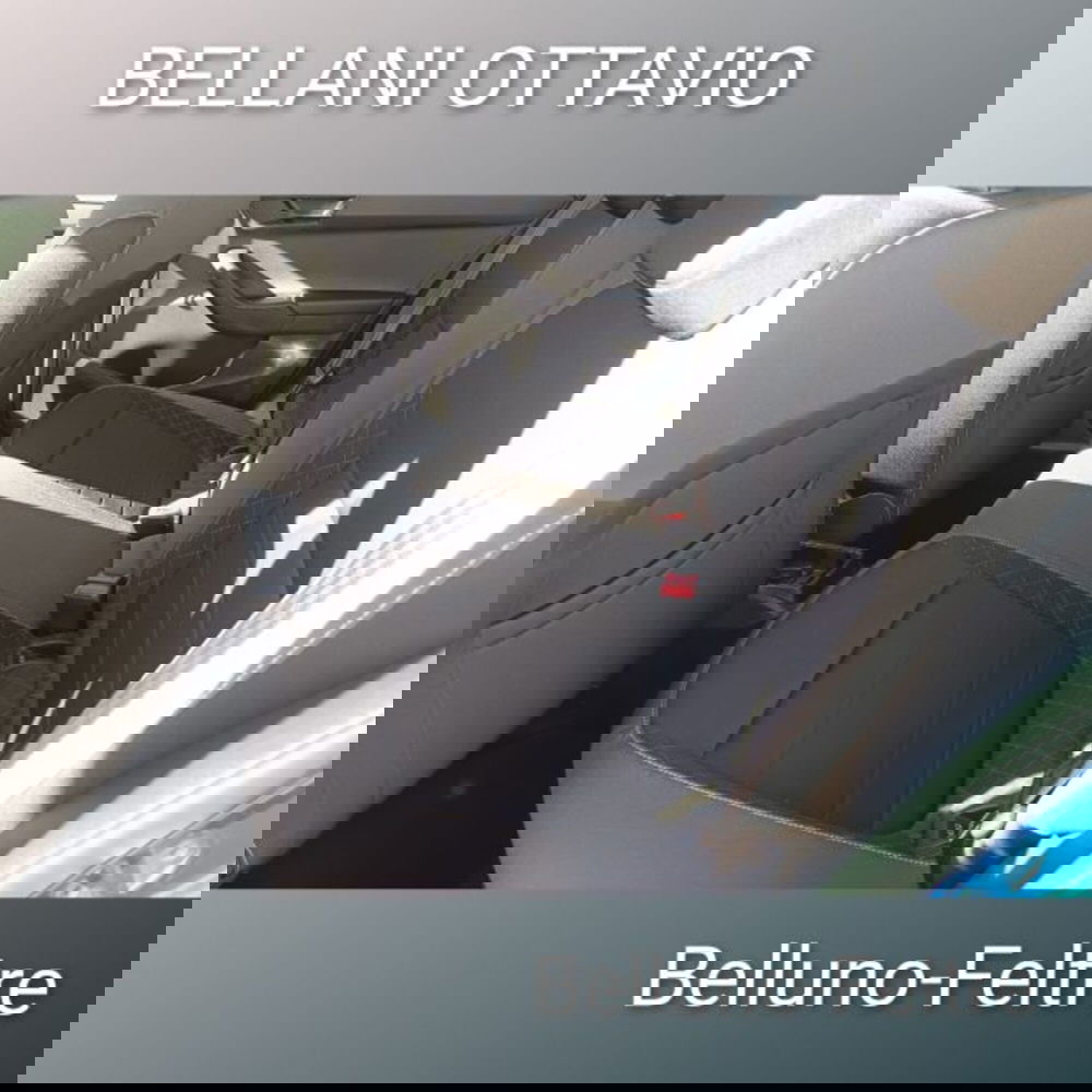 Skoda Fabia usata a Belluno (11)