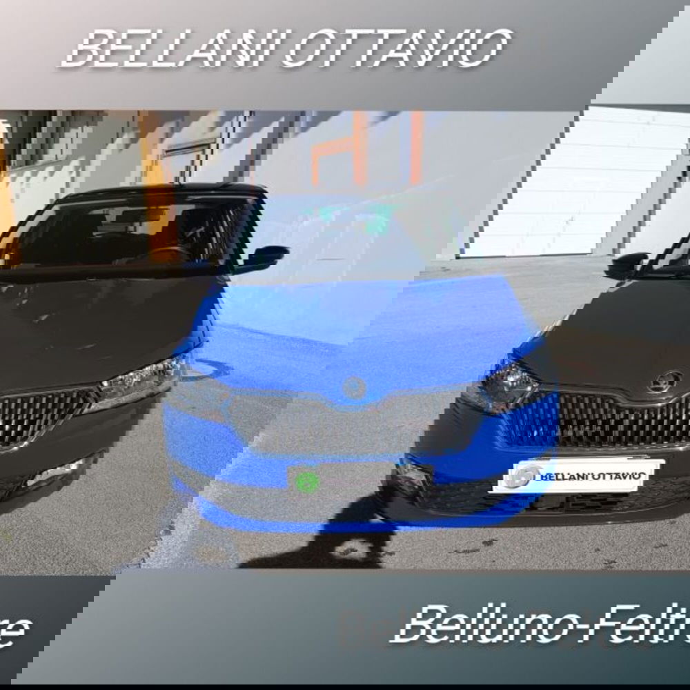 Skoda Fabia usata a Belluno (2)