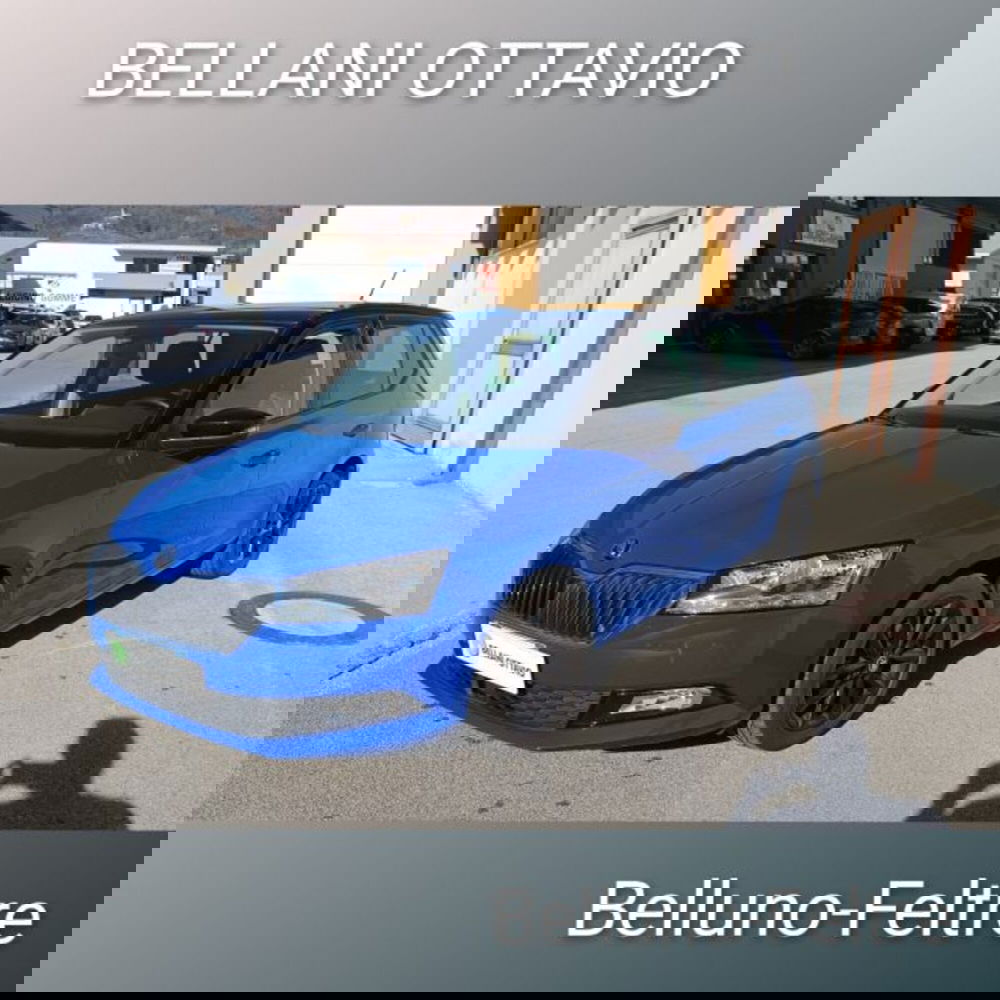 Skoda Fabia usata a Belluno (3)