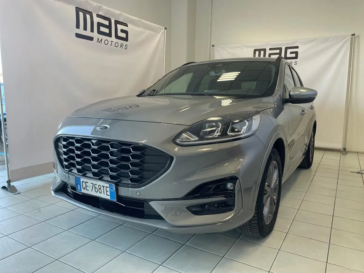 Ford Kuga usata a Cosenza (2)