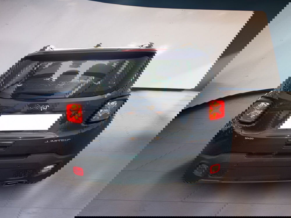 Jeep Renegade usata a Torino (5)