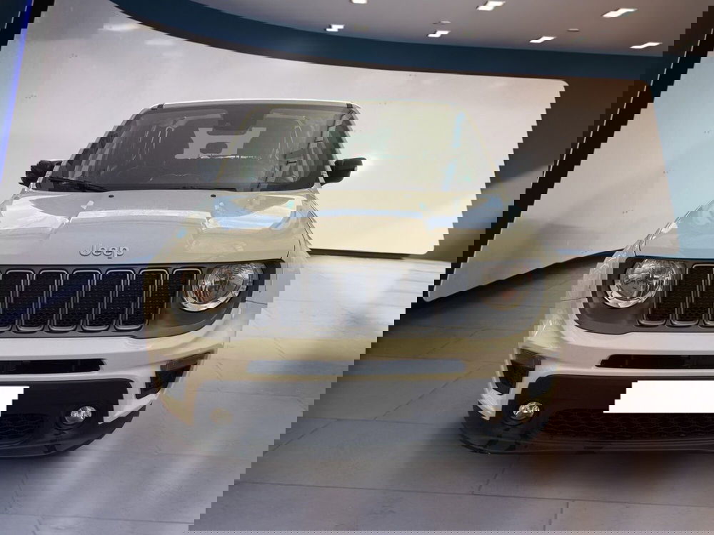 Jeep Renegade usata a Torino