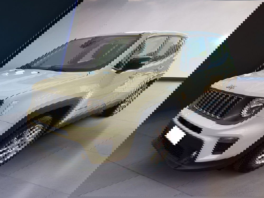 Jeep Renegade usata a Torino (2)