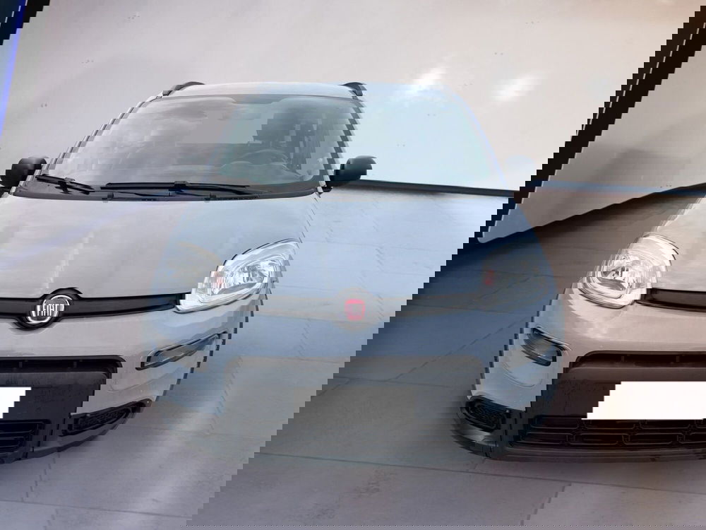 Fiat Panda usata a Torino