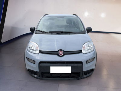 Fiat Panda 1.0 firefly hybrid s&amp;s 70cv 5p.ti del 2022 usata a Torino