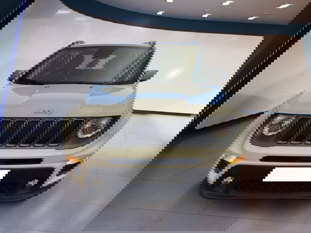 Jeep Renegade usata a Torino