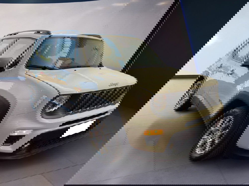 Jeep Renegade usata a Torino (3)