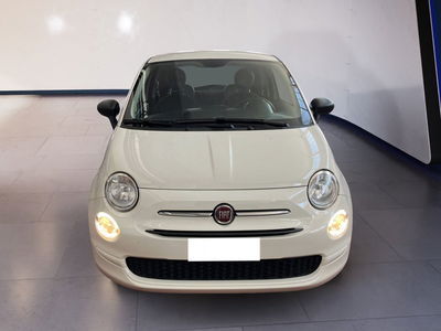 Fiat 500 1.2 Pop del 2019 usata a Torino