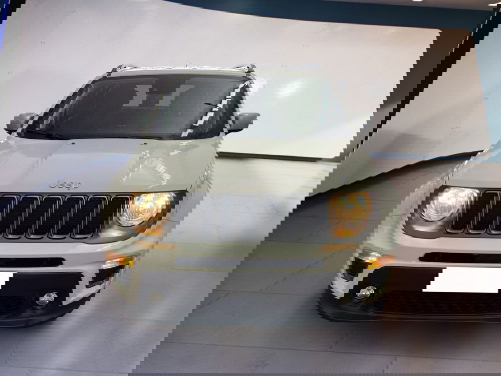 Jeep Renegade usata a Torino