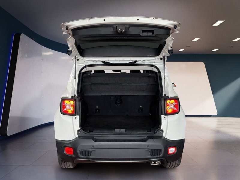 Jeep Renegade usata a Torino (7)