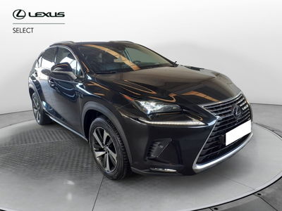 Lexus NX Hybrid 4WD Luxury del 2020 usata a Cremona