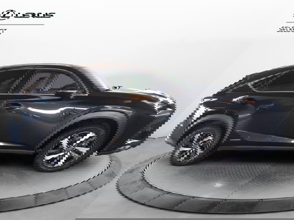 Lexus NX usata a Cremona (5)