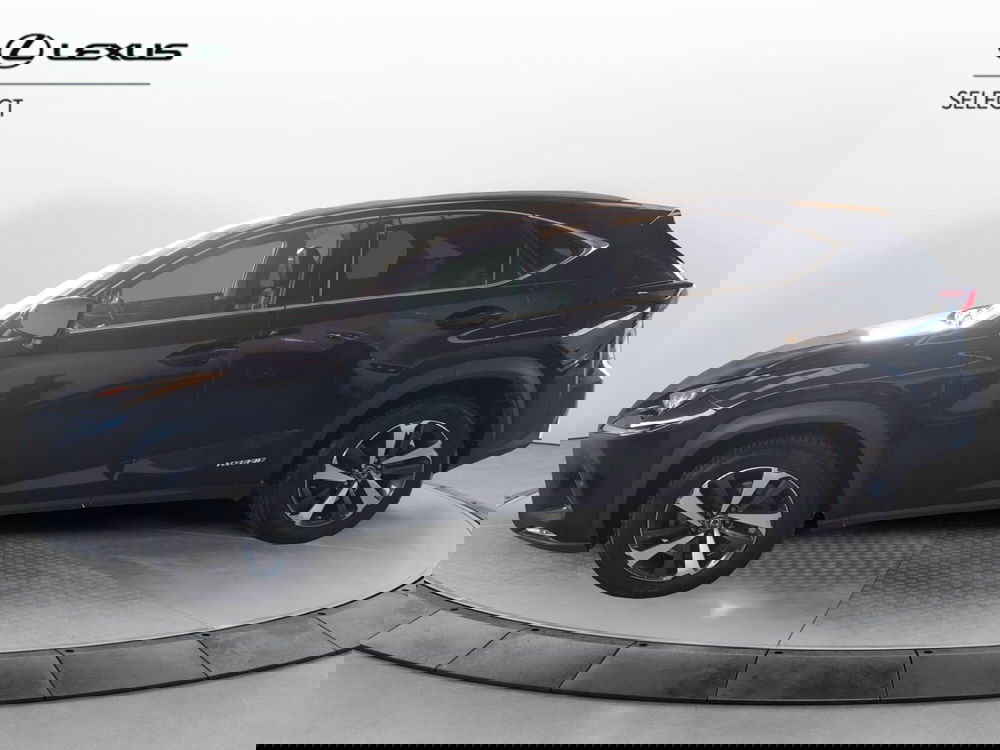 Lexus NX usata a Cremona (6)