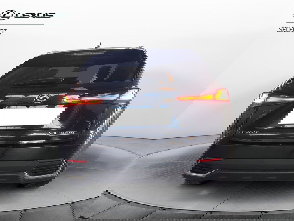 Lexus NX usata a Cremona (8)