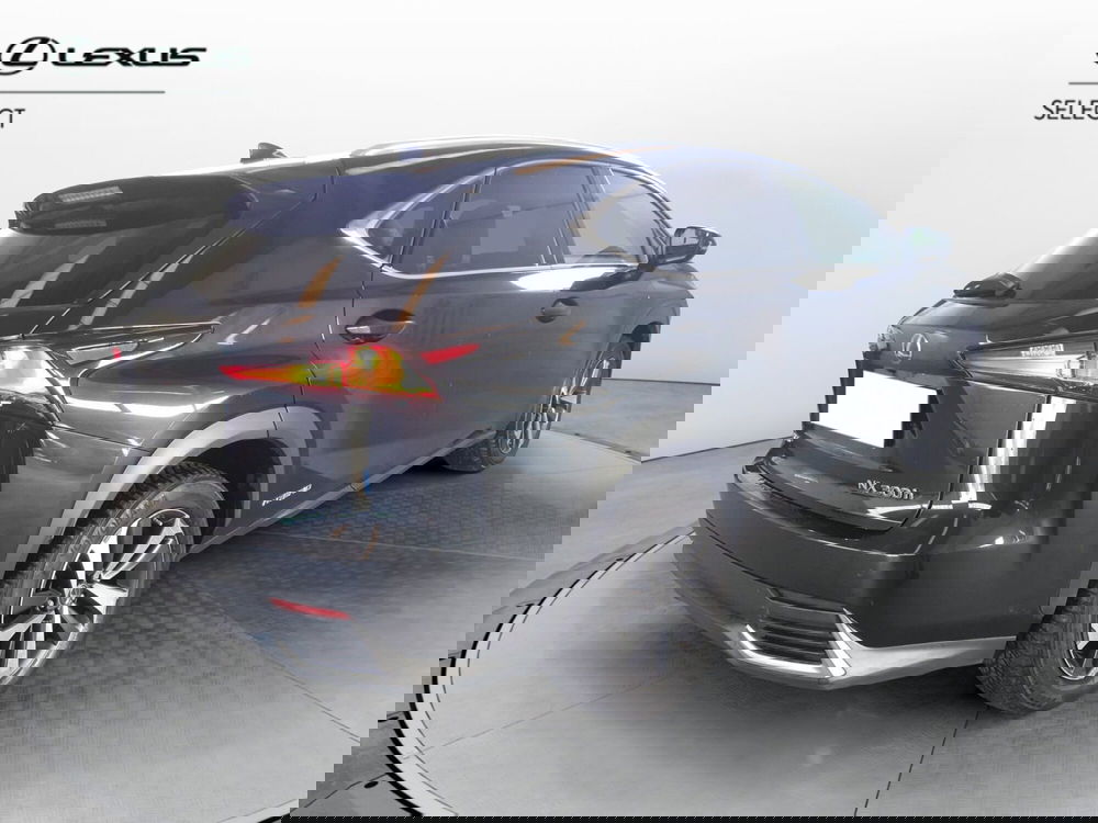 Lexus NX usata a Cremona (9)