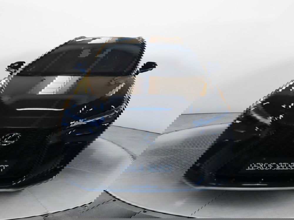 Lexus NX usata a Bologna (2)