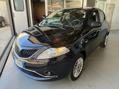 Lancia Ypsilon 1.2 69 CV 5 porte Gold del 2017 usata a Torino