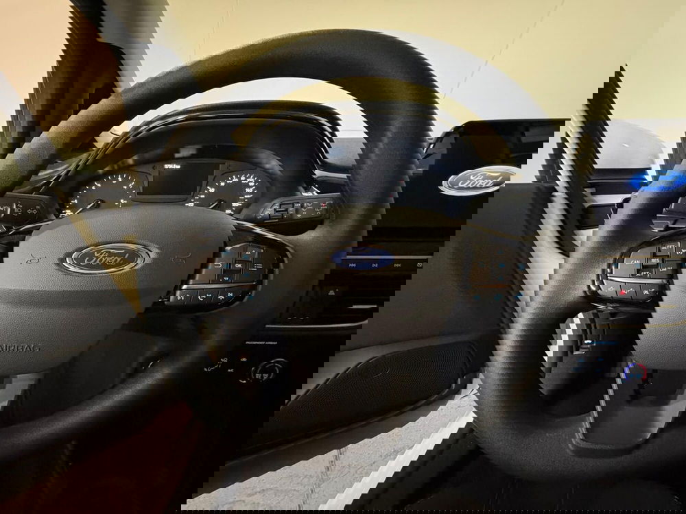 Ford Fiesta usata a Monza e Brianza (20)