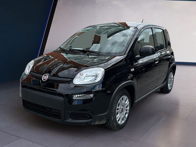 Fiat Panda 1.0 firefly hybrid s&amp;s 70cv 5p.ti nuova a Salerno