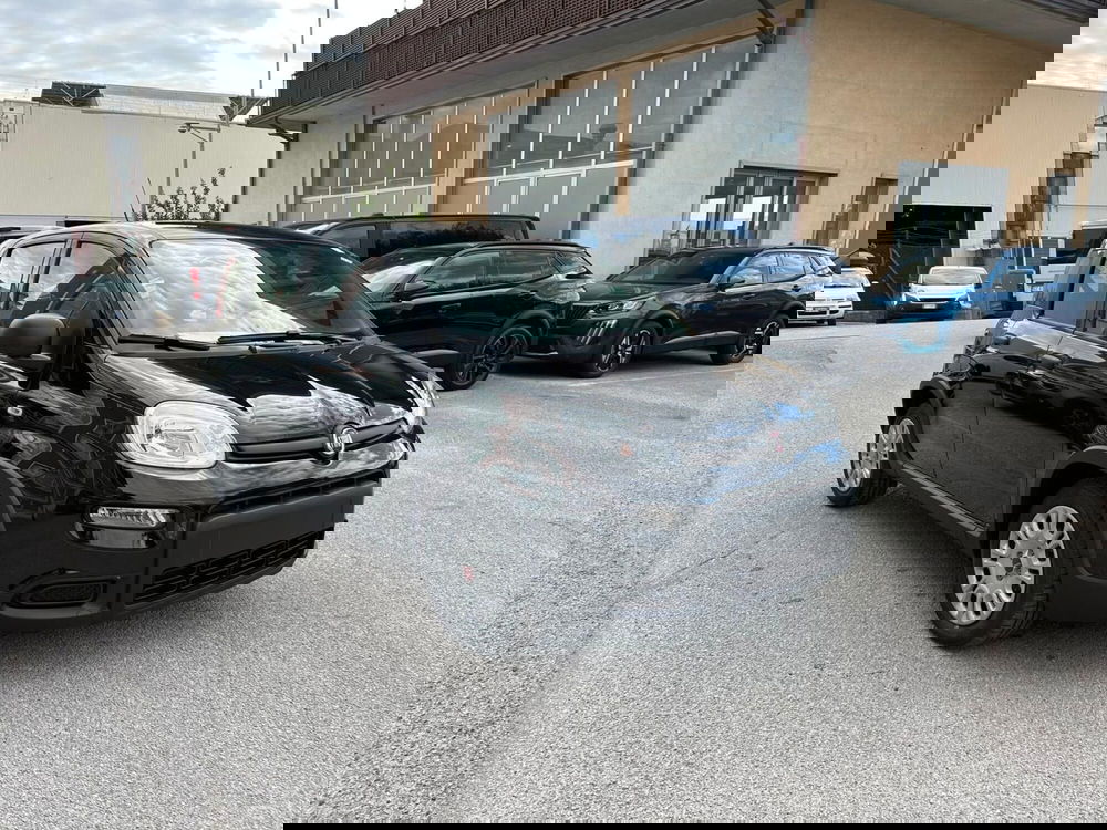 Fiat Panda nuova a Salerno (2)