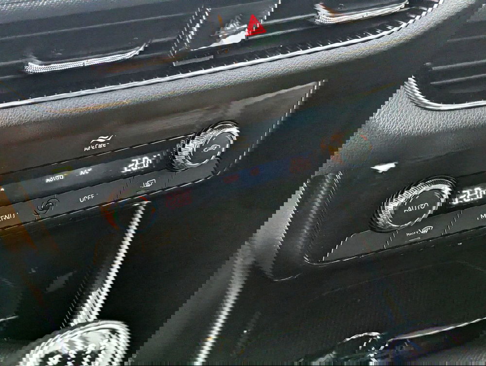 Skoda Fabia usata a Pescara (15)