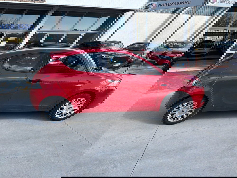 Lancia Ypsilon usata a Frosinone (7)