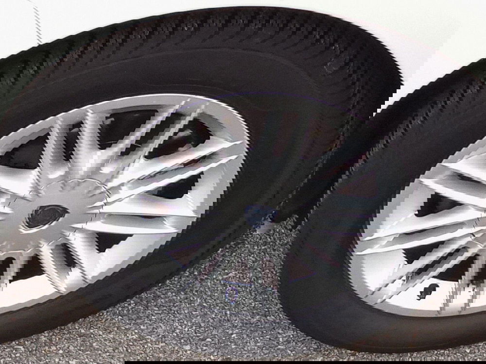 Lancia Musa usata a Rimini (14)