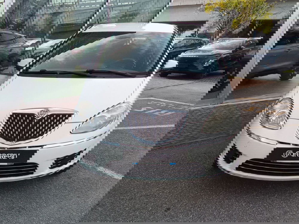 Lancia Musa usata a Rimini (5)