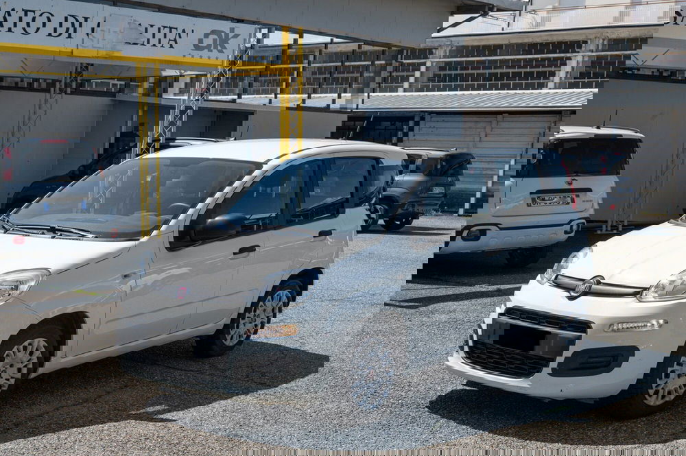 Fiat Panda usata a Torino