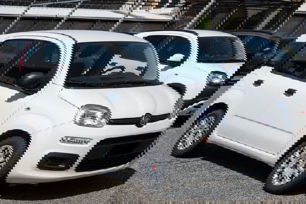 Fiat Panda usata a Torino (3)