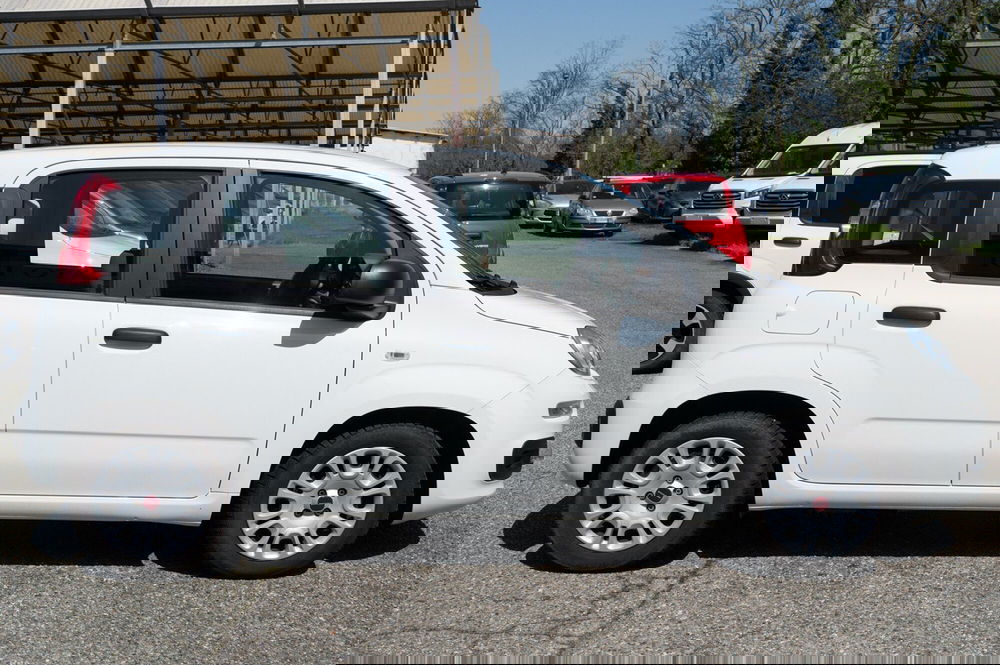 Fiat Panda usata a Torino (4)