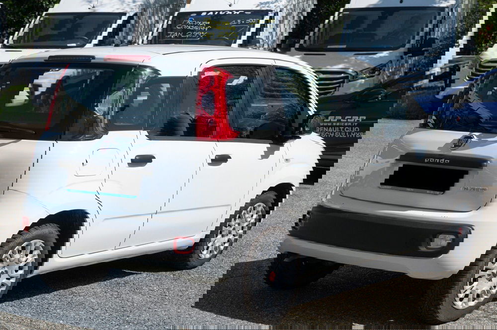 Fiat Panda usata a Torino (5)