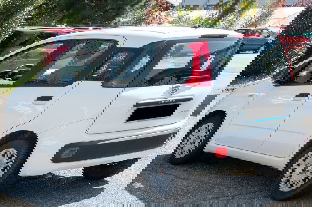 Fiat Panda usata a Torino (6)