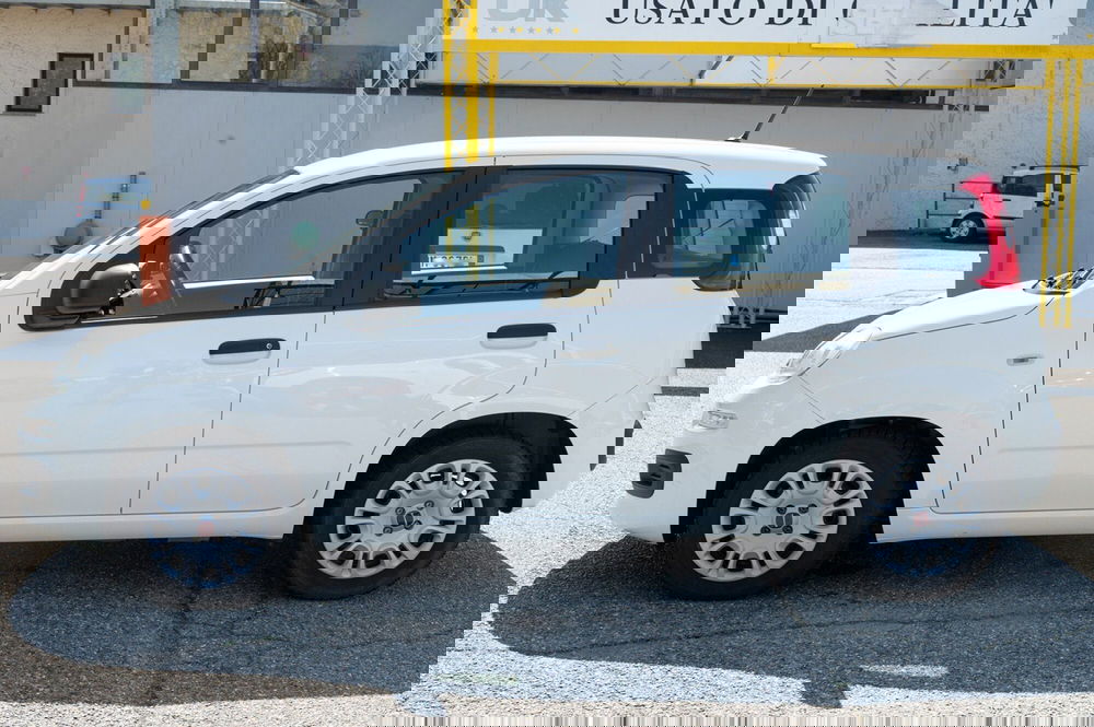 Fiat Panda usata a Torino (8)