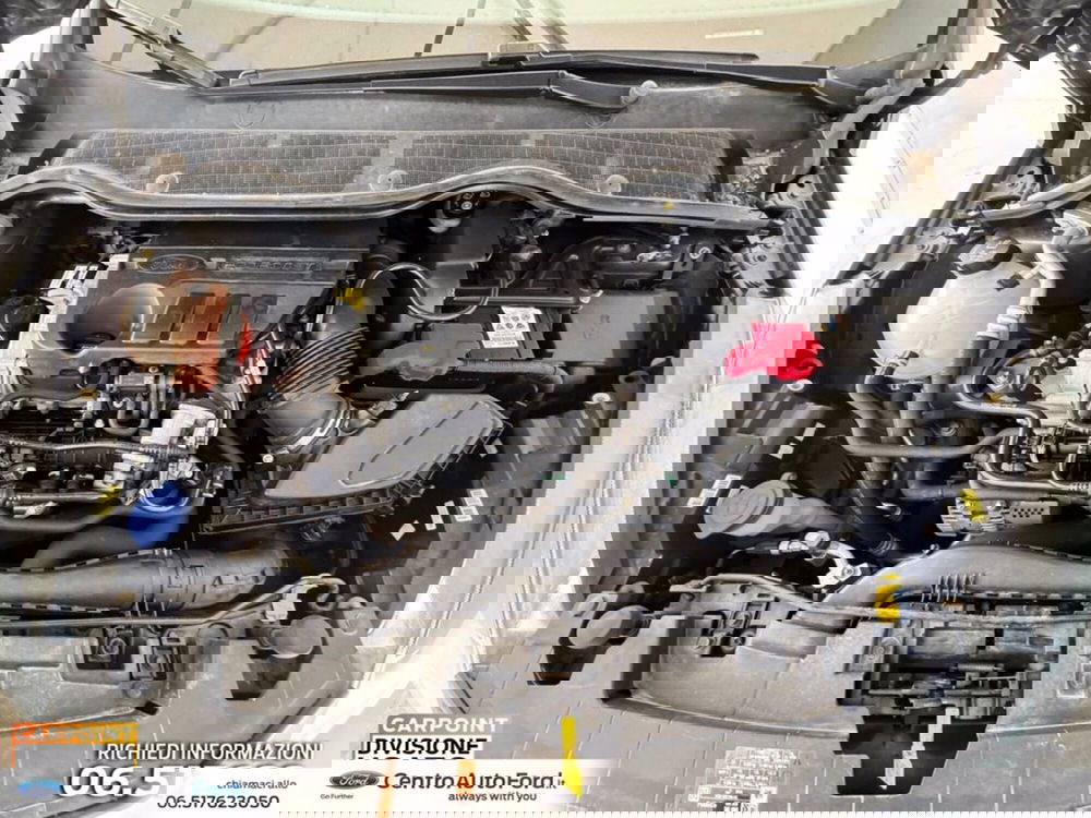 Ford Fiesta usata a Roma (11)