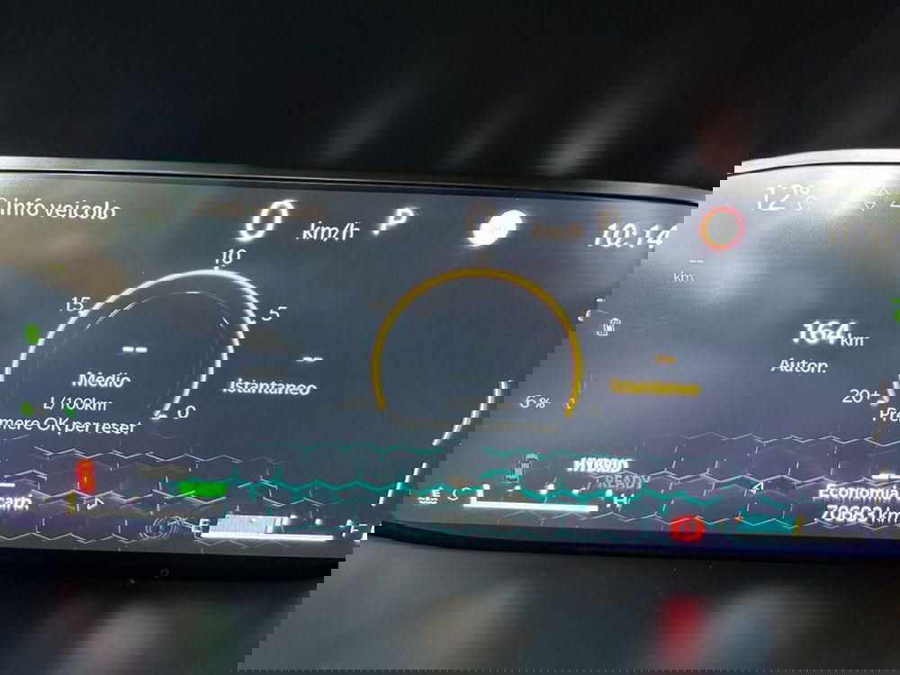 Jeep Compass usata a Reggio Emilia (13)