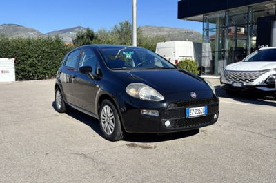 Fiat Punto 1.2 8V 5 porte Lounge del 2015 usata a Fondi