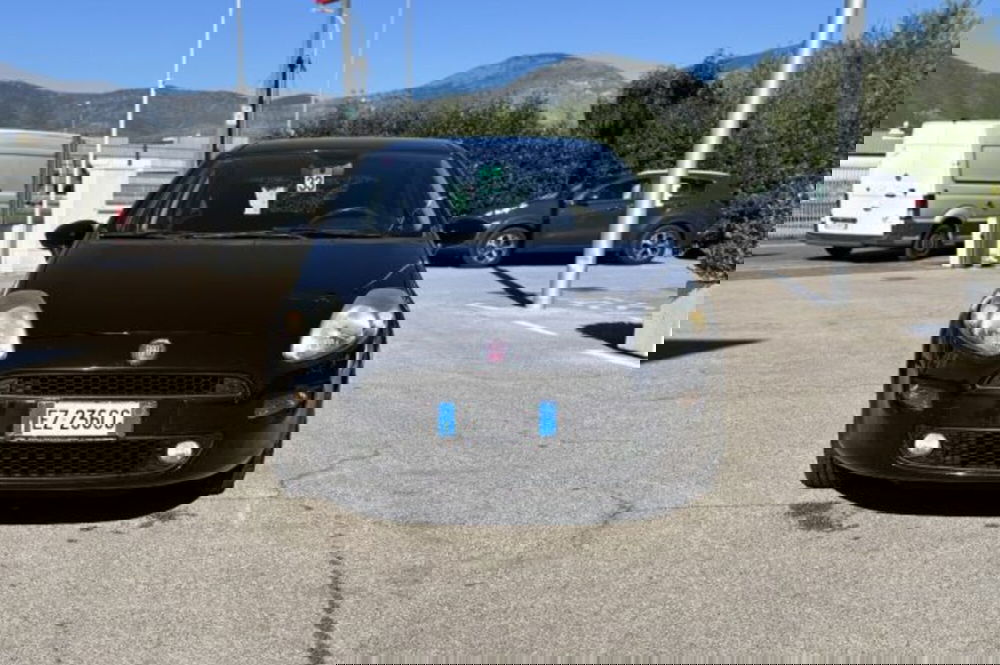 Fiat Punto usata a Latina (2)