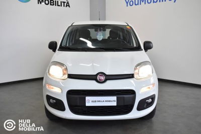 Fiat Panda 0.9 TwinAir Turbo Natural Power Easy del 2019 usata a Foligno