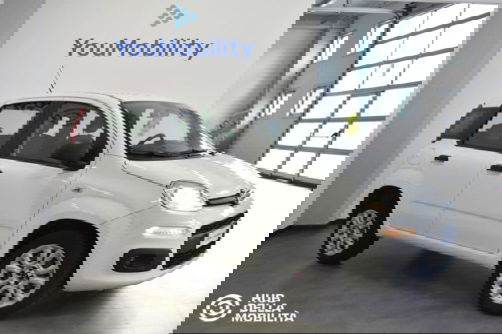 Fiat Panda usata a Perugia (2)