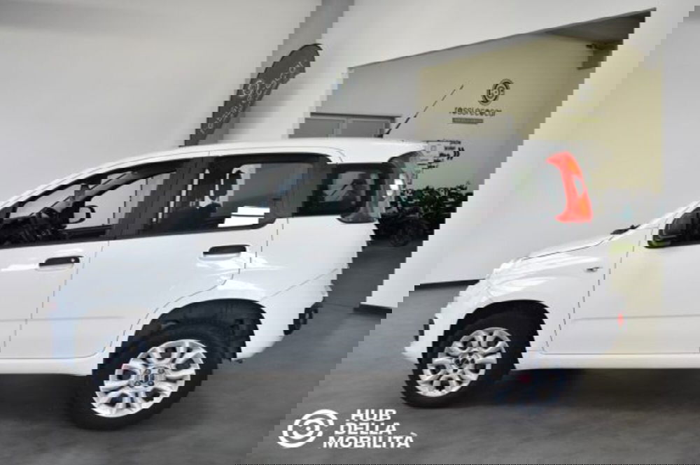 Fiat Panda usata a Perugia (4)