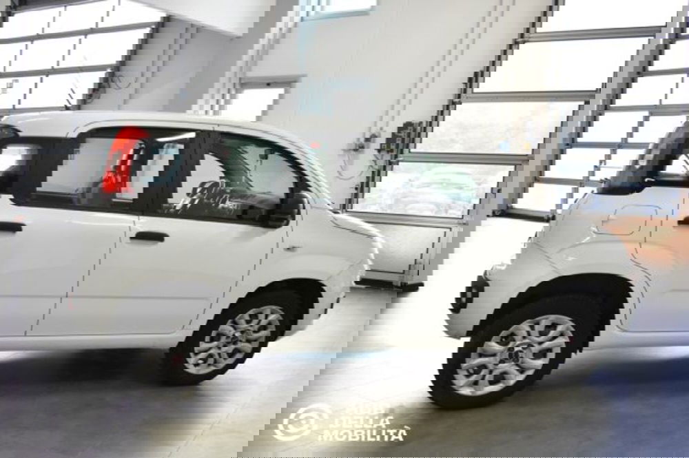 Fiat Panda usata a Perugia (6)