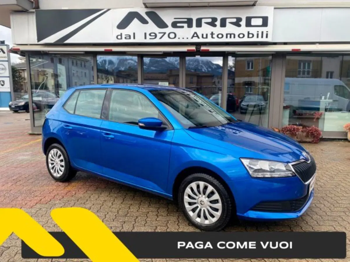 Skoda Fabia usata a Cuneo