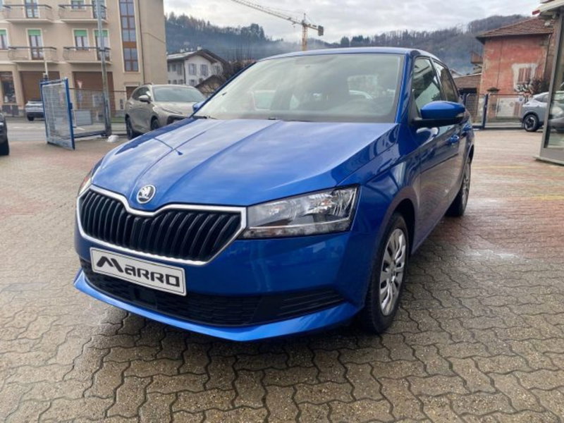 Skoda Fabia usata a Cuneo (2)
