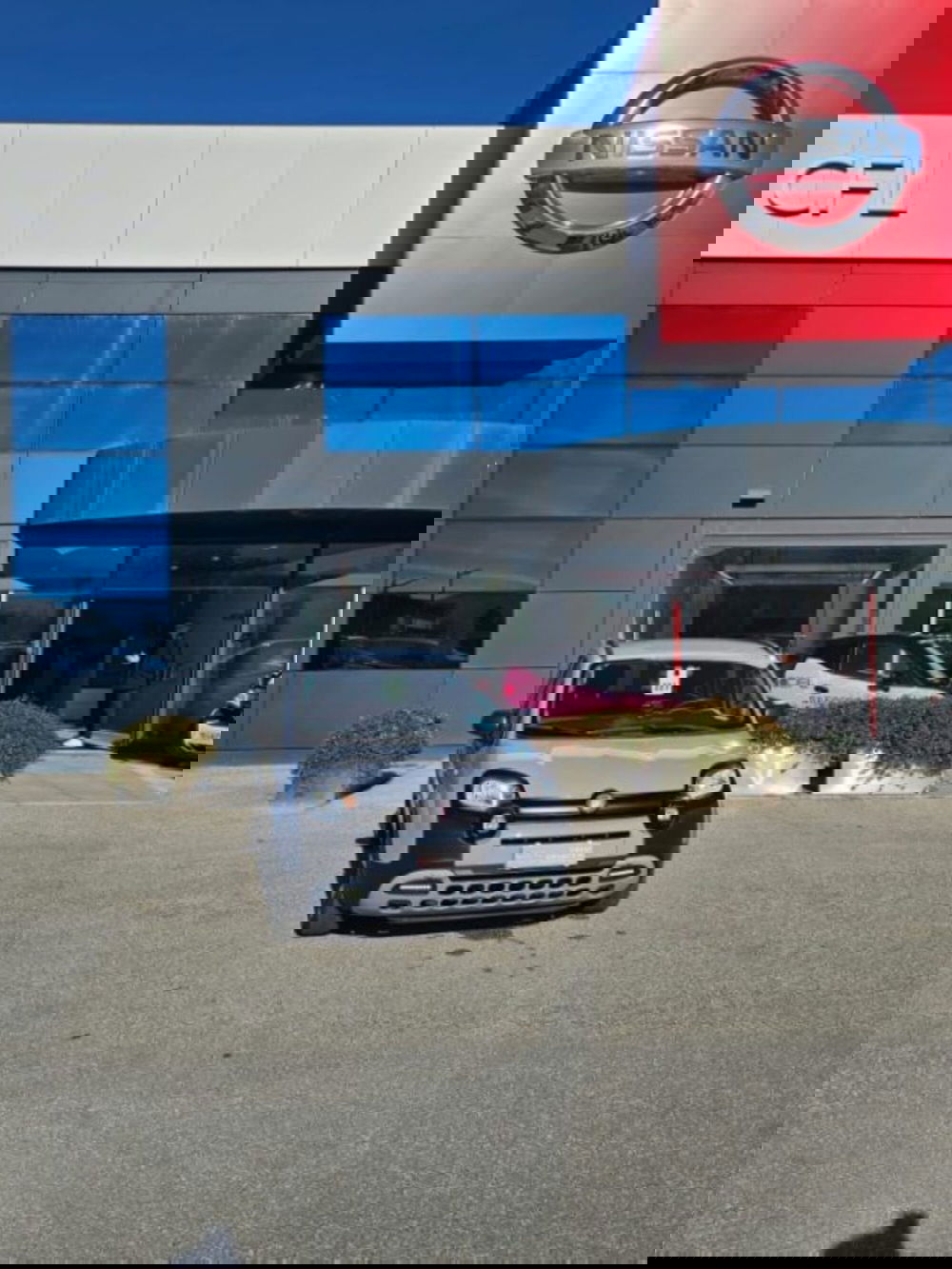 Fiat Panda usata a Lucca